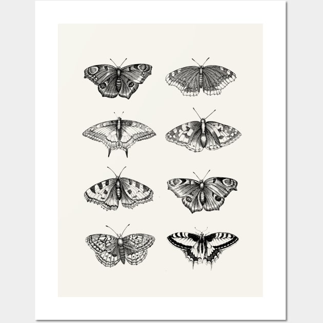 Dramabite Vintage butterflies scientific illustration Wall Art by dramabite